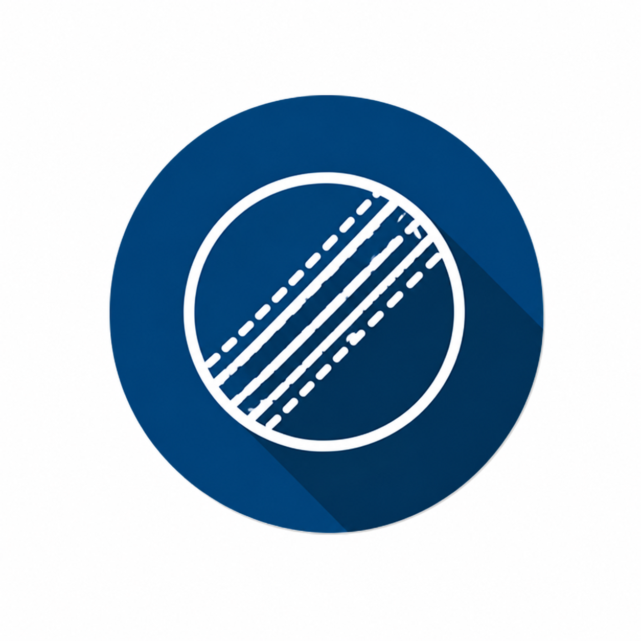 English Willow Cricket Bat