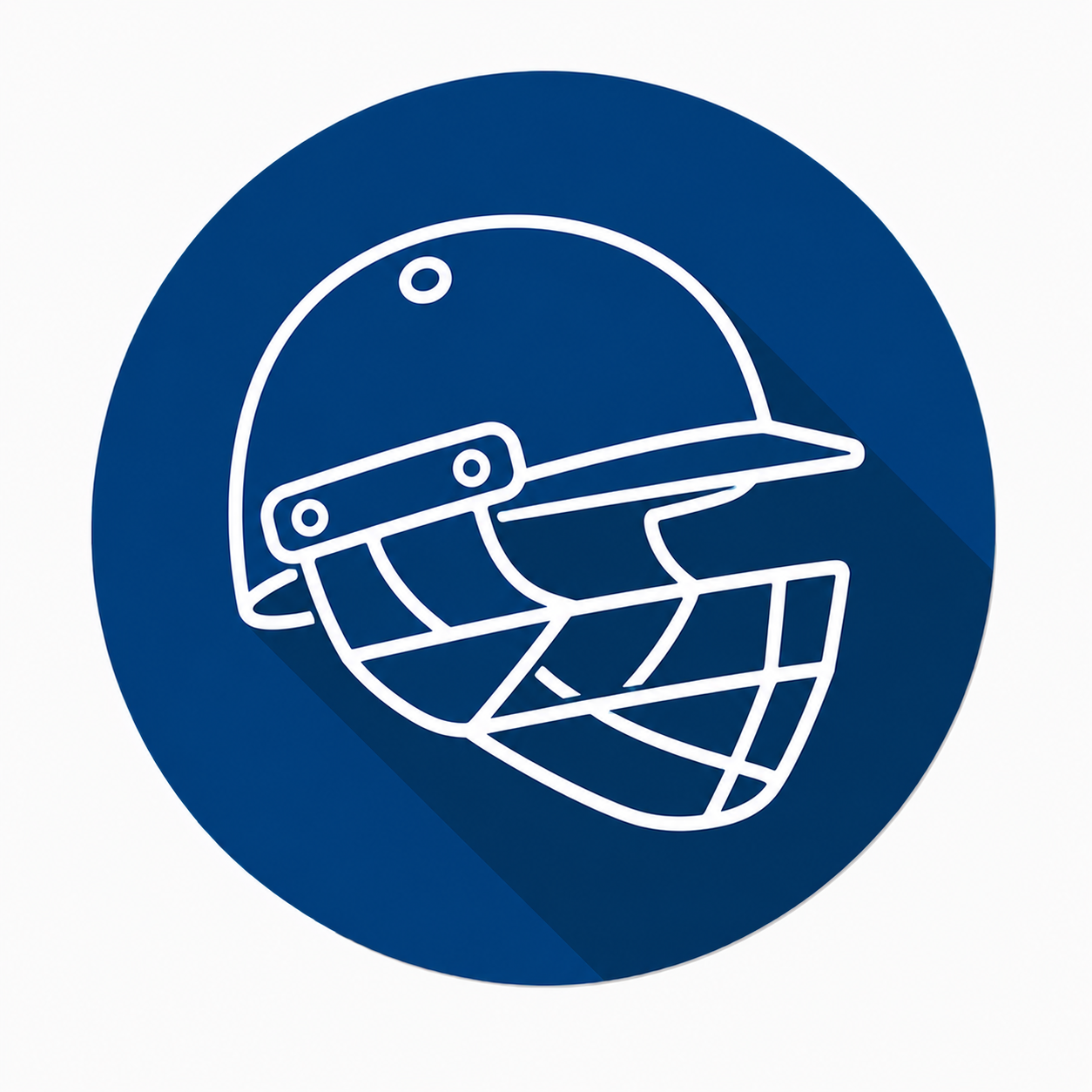 English Willow Cricket Bat