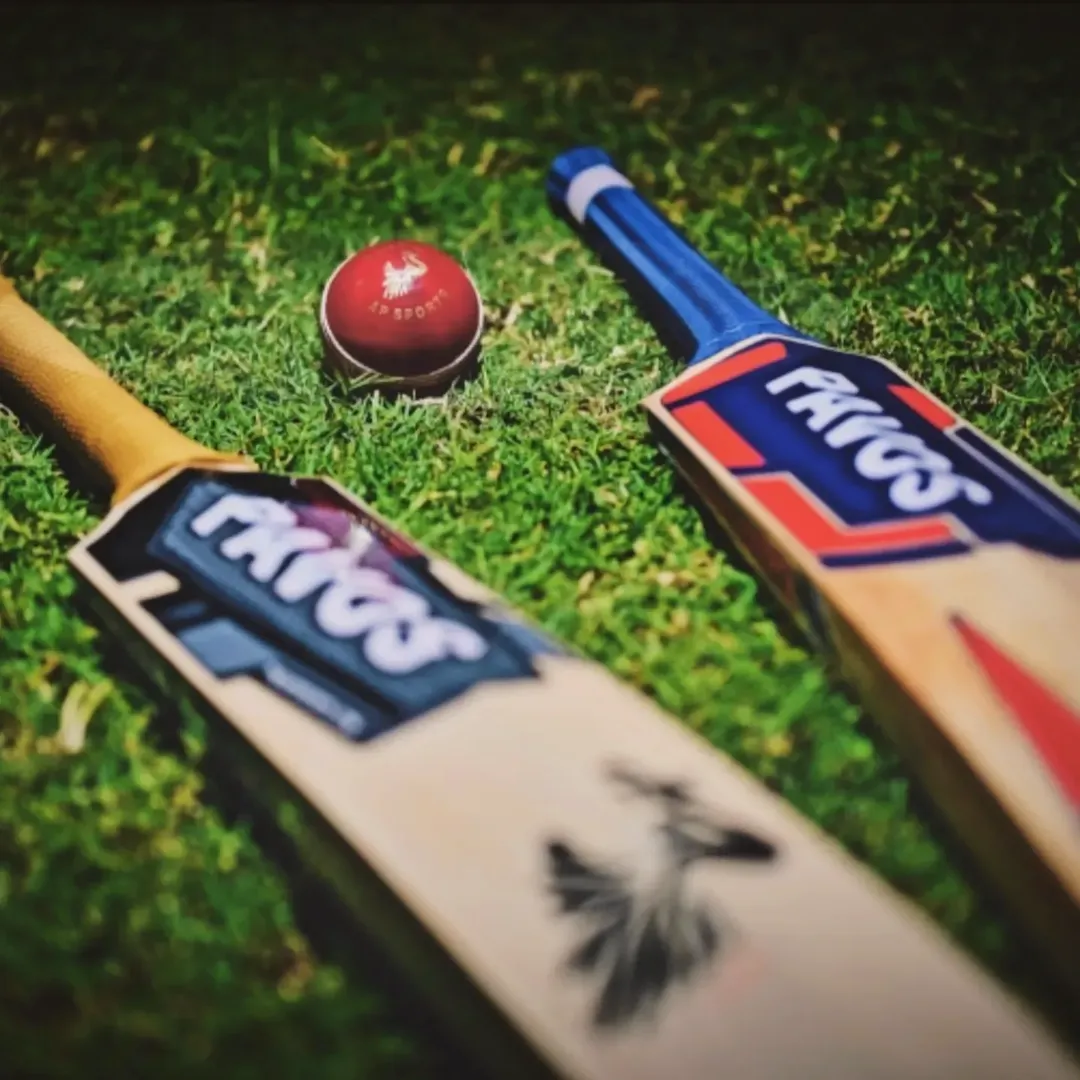 Kashmir Willow Bat Supplier